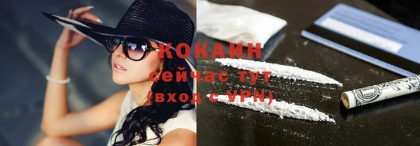 прущий лед Бородино