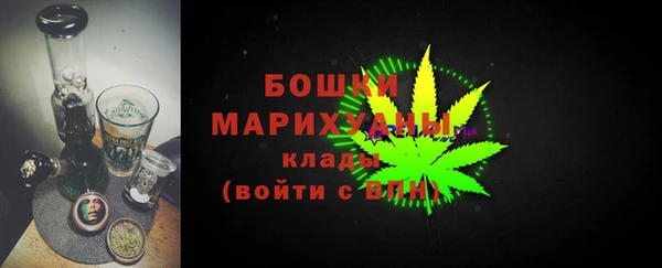 прущий лед Бородино