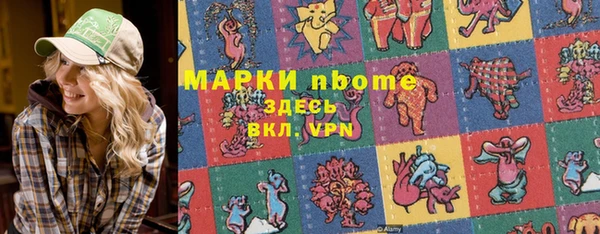 прущий лед Бородино