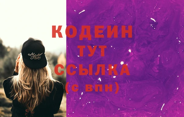 прущий лед Бородино