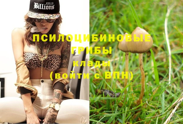 прущий лед Бородино
