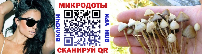 Псилоцибиновые грибы Psilocybine cubensis  Купить закладки  Алексин 